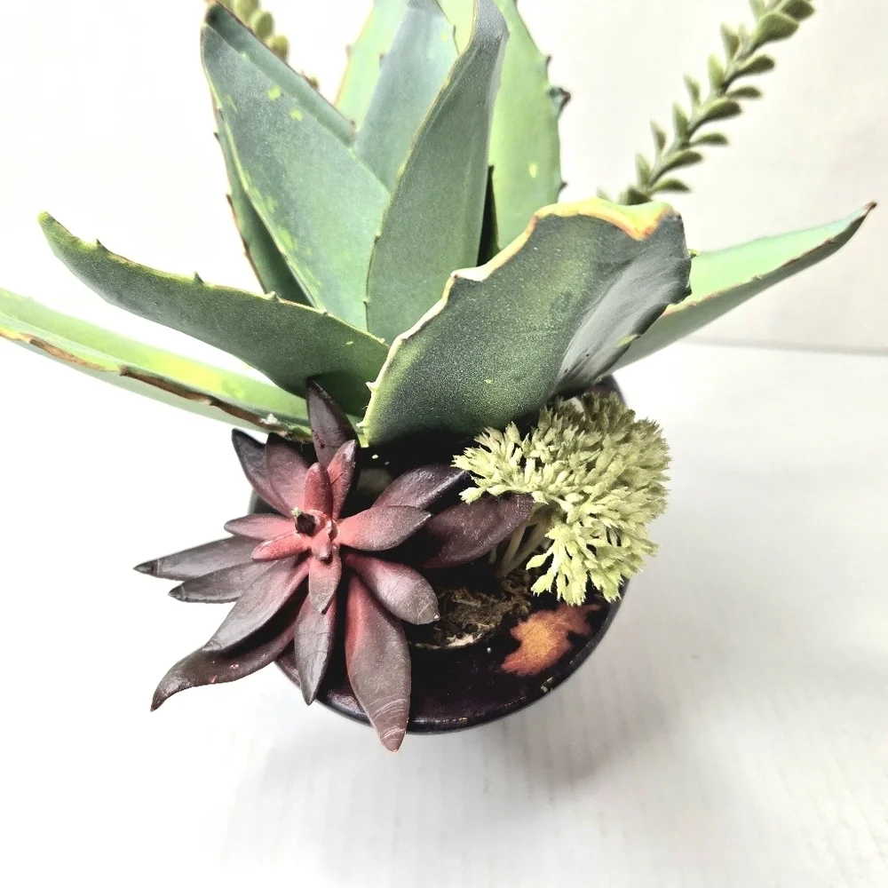 Succulent Floral Arrangement
